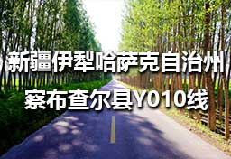 新疆维吾尔自治区伊犁哈萨克自治州察布查尔县Y010线（S313线K14+770—布占村）