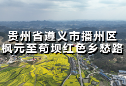 贵州省遵义市播州区枫元至苟坝红色乡愁路