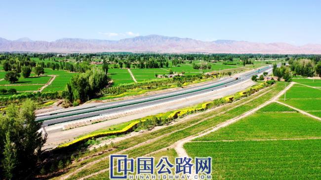 绿意盎然.jpg