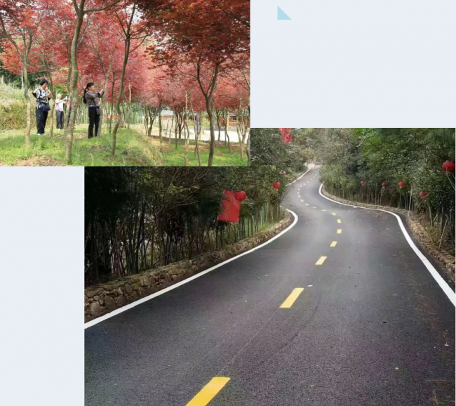 QQ截图20230404083118.png